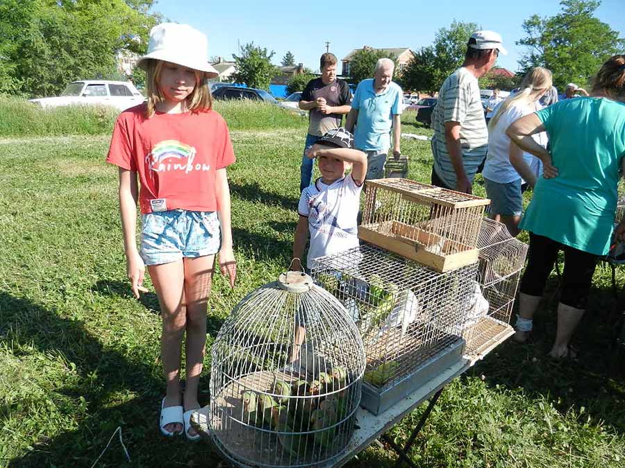 Клуб голубеводов станицы Ленинградская