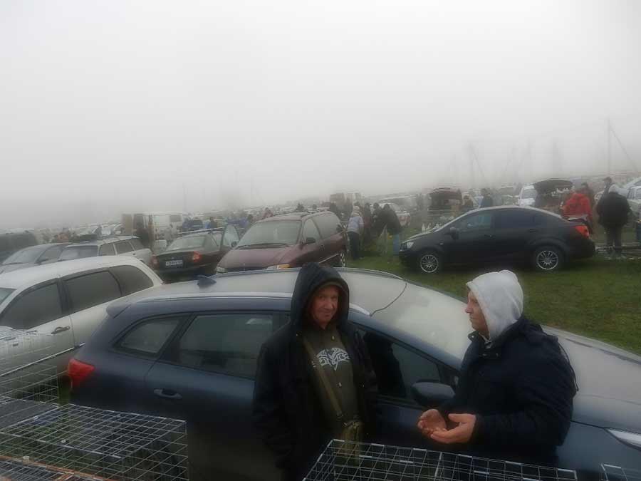 Клуб голубеводов станицы Ленинградская