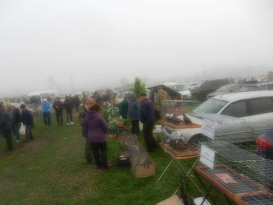 Клуб голубеводов станицы Ленинградская