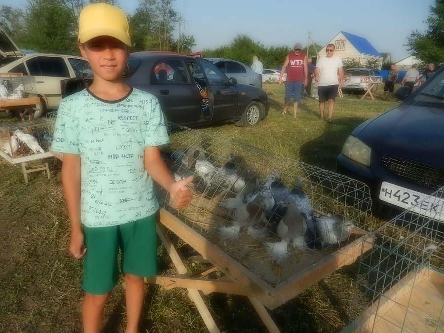 Клуб голубеводов станицы Ленинградская